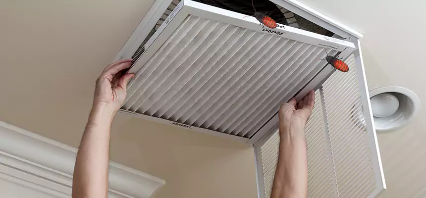 Our Insect Removal from Air Ducts Services in Menlo Park, CA