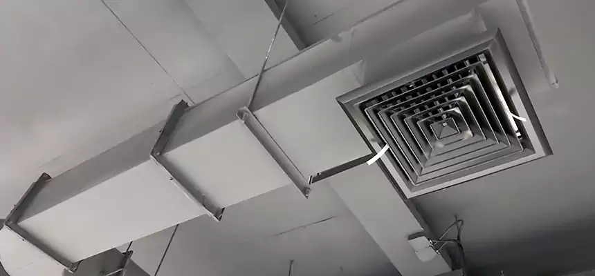 Our Pest Removal From Ducts Services in Menlo Park, CA