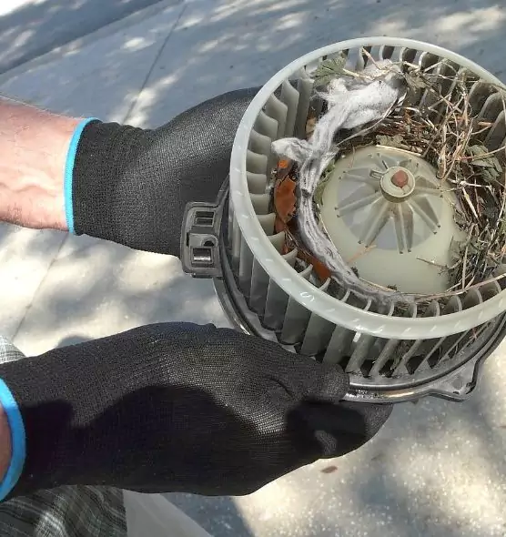 About Air Duct Rat Removal in Menlo Park, CA